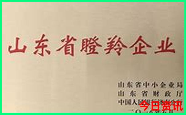 7.8旅游最适合的城市
